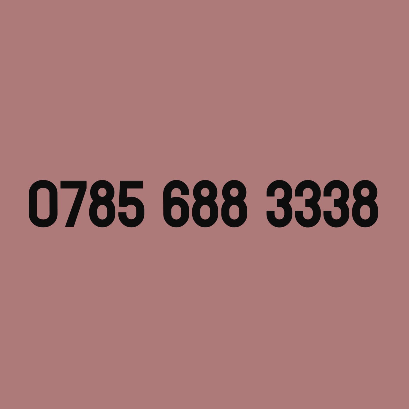 *£49* - 0785 688 3338
