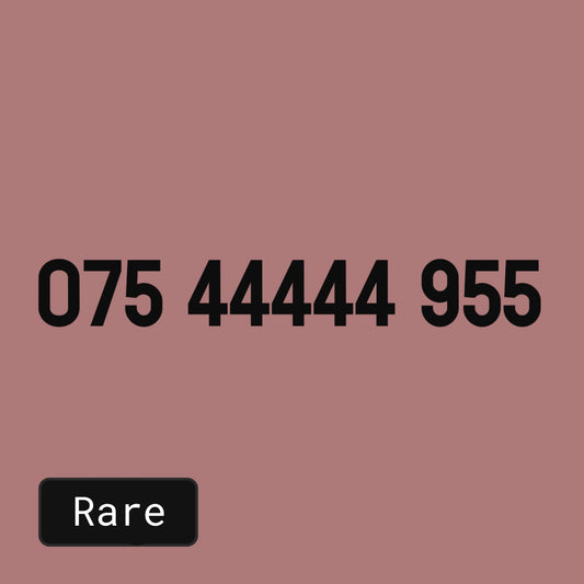 £199 - 07544444 955