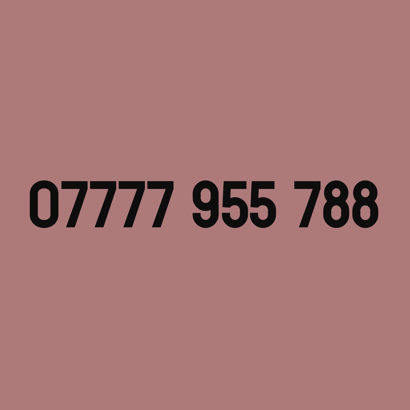 *£79* - 07777 955 788