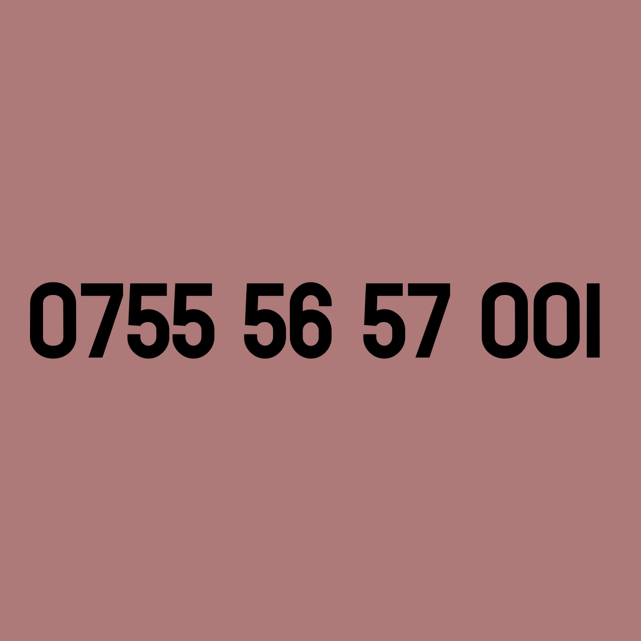 *£39* - 0755 56 57 001