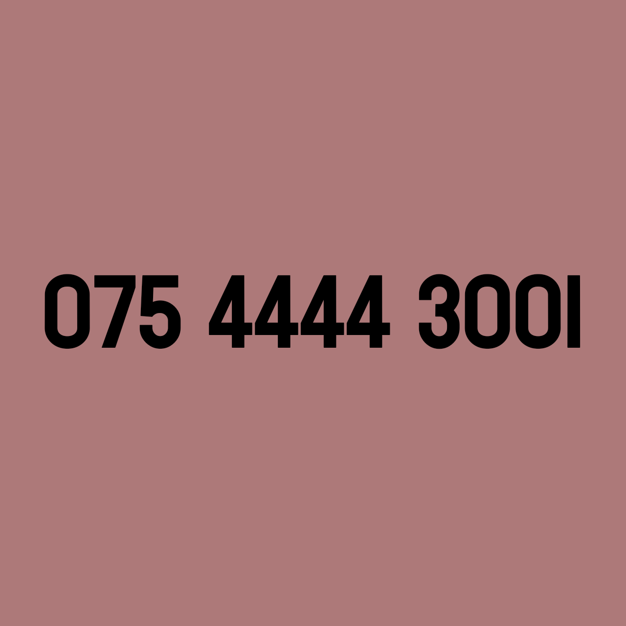 *£69* - 075 4444 3001