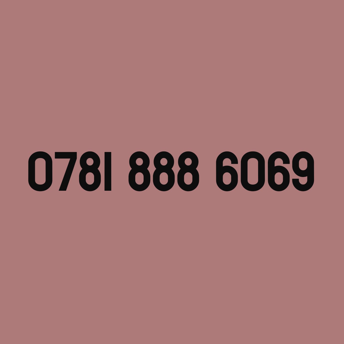 *£39* - 0781 888 6069