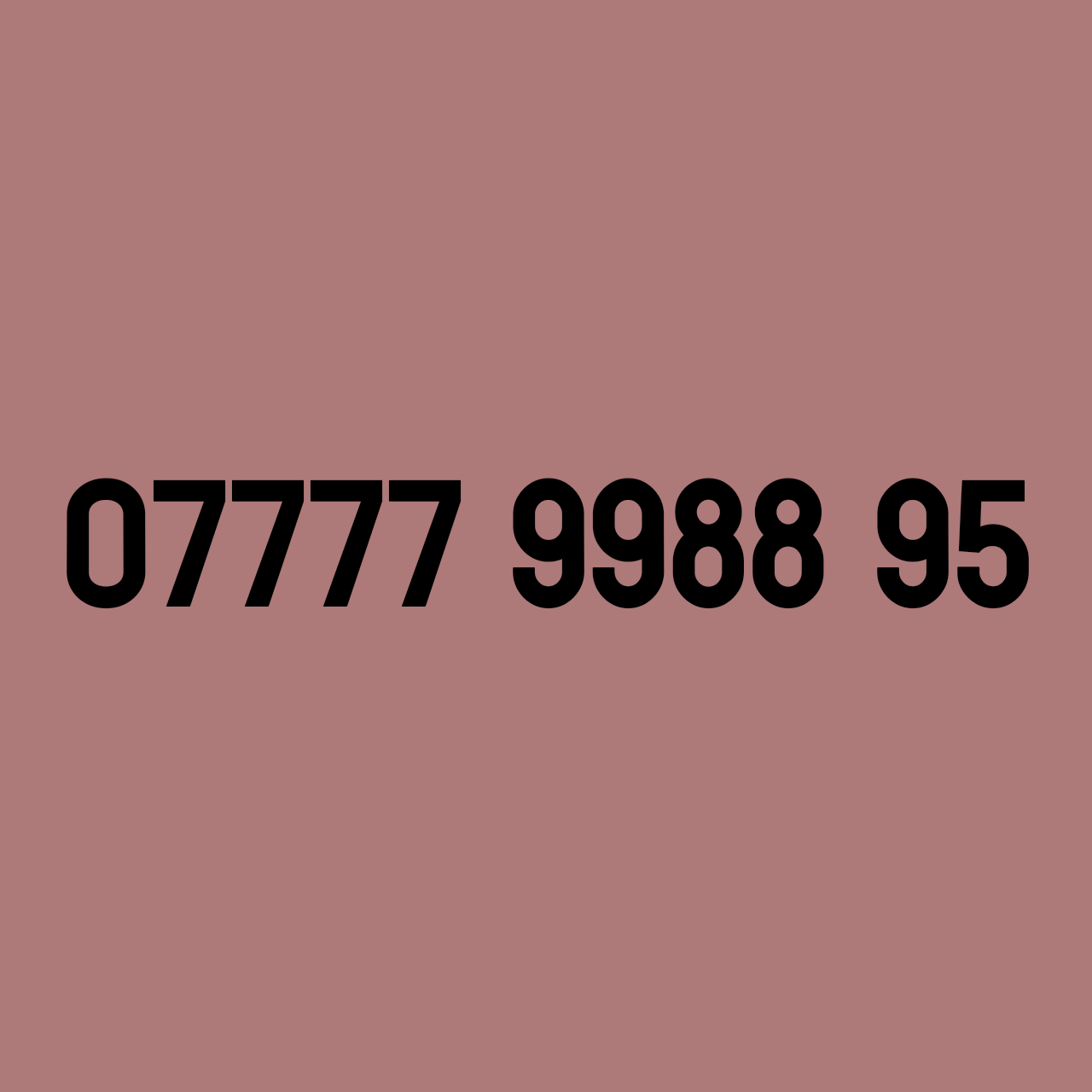 £229 - 07777 9988 95