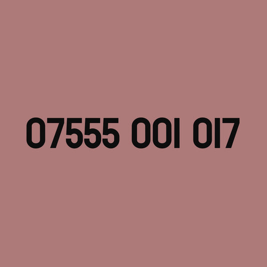 *£29* - 07555 001 017