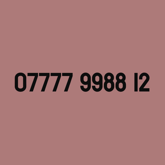 £229 - 07777 9988 12